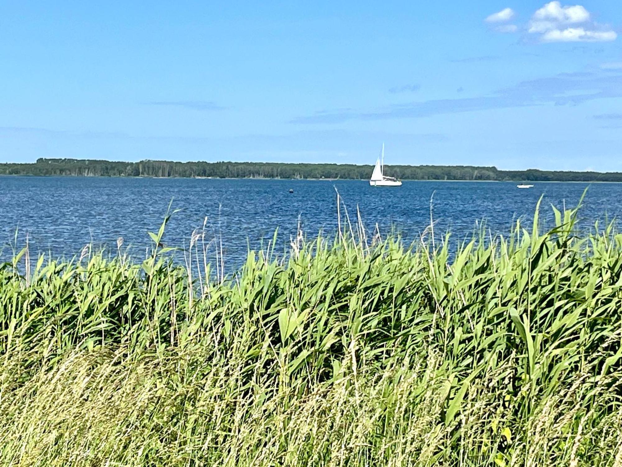 Ferienhaus Ruegen-Relax Trent Eksteriør billede